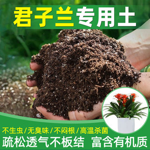 君子兰专用土花土养君子兰专用营养土肥料栽种盆栽土专用肥换盆土
