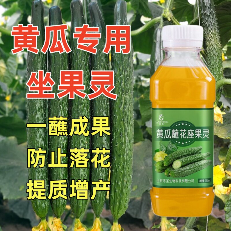 黄瓜专用坐果灵授粉喷花点花药沾花促花促果增产防落果座果灵水剂