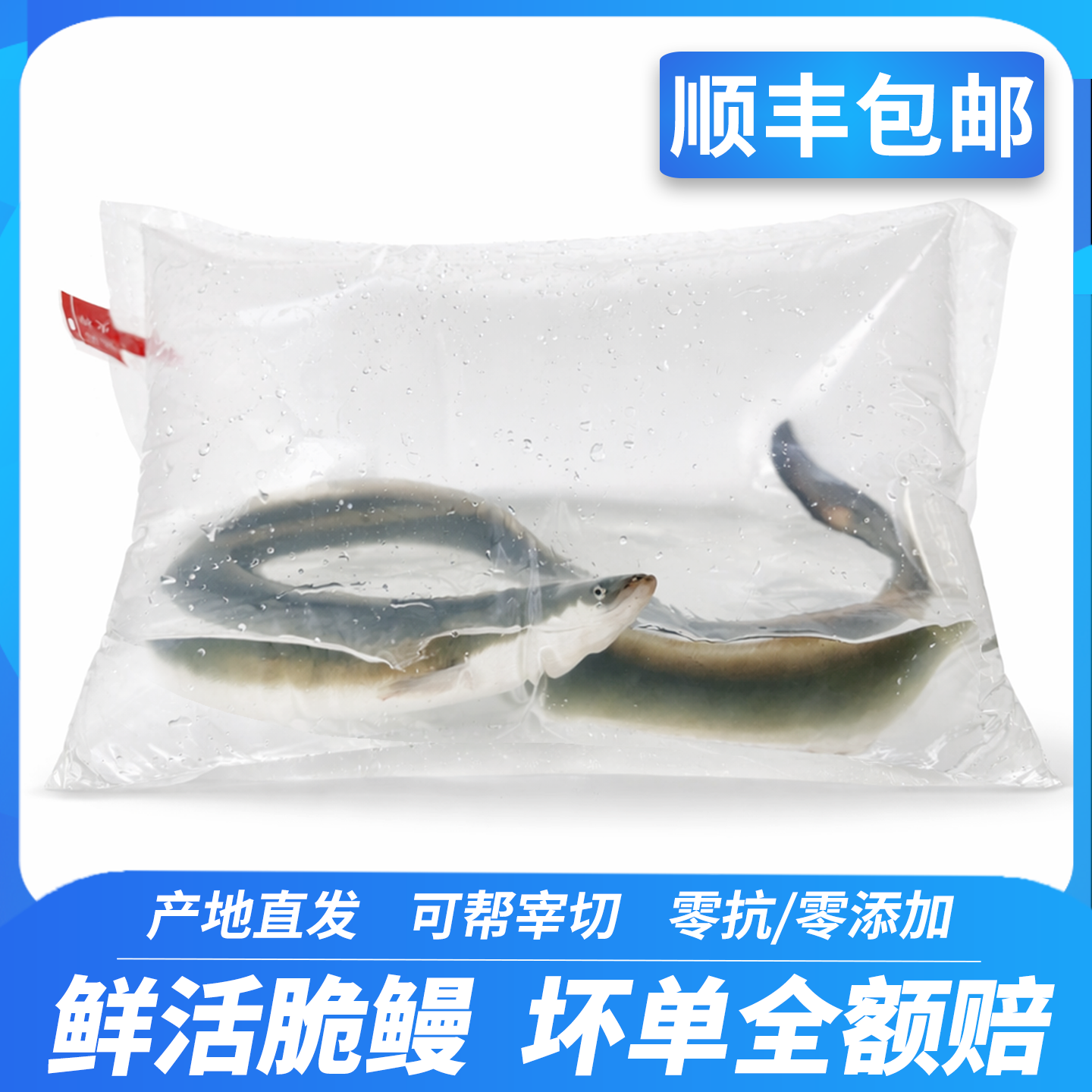 脆鳗白鳝鱼爽鳗乌耳鳗鱼包切淡水鳗鱼鲜活直发海鲜水产河鳗鱼顺丰,水产肉类/新鲜蔬果/熟食,鳗鱼,淘宝优惠券,粉丝福利购,淘宝优惠卷
