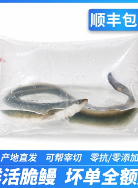 脆鳗白鳝鱼爽鳗乌耳鳗鱼包切淡水鳗鱼鲜活直发海鲜水产河鳗鱼顺丰