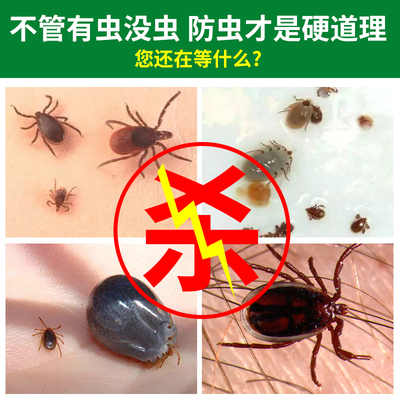 爆款推荐~除跳蚤虱子驱虫喷剂