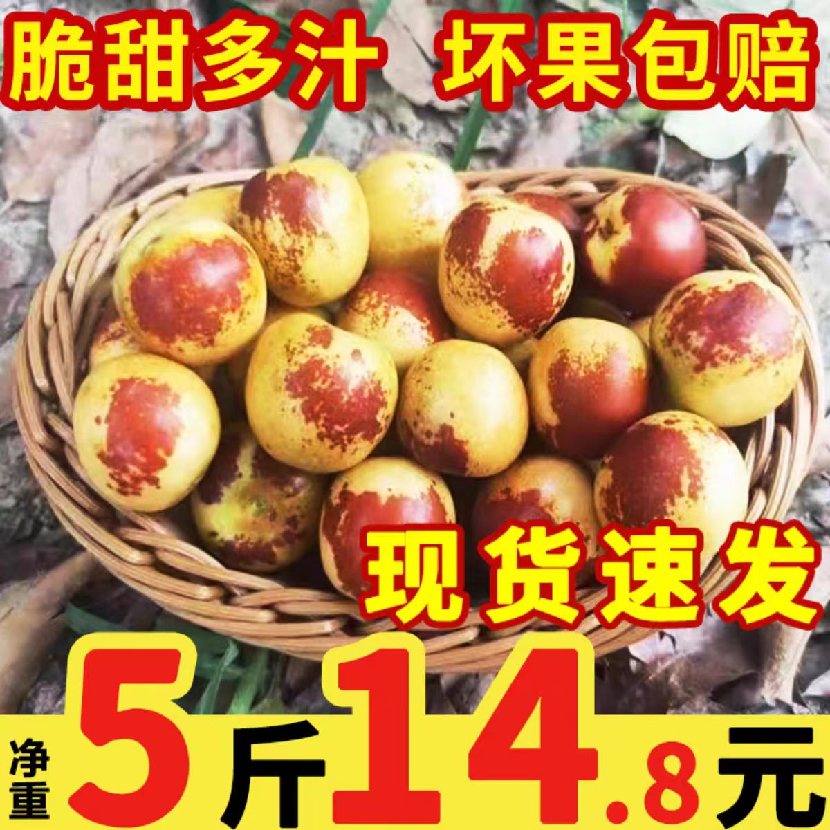 陕西大荔冬枣青枣新鲜大枣当季孕妇水果5斤特大果批发顺丰包邮