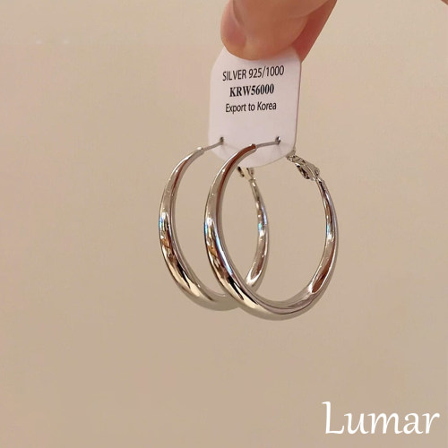 S925纯银大圈圈耳环女款2026轻奢