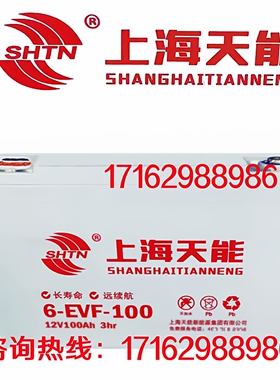上海天能蓄电池6-EVF-100电动汽车洗地机叉车堆高车免维护6V8V12V