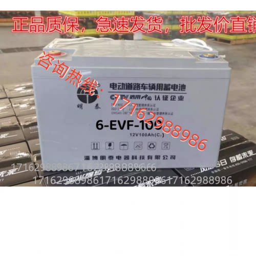 明泰电瓶6-EVF-100老年代步车