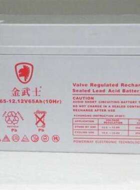 金武士蓄电池12V65AHups专用 金武士UPS专用蓄电池12V65AH