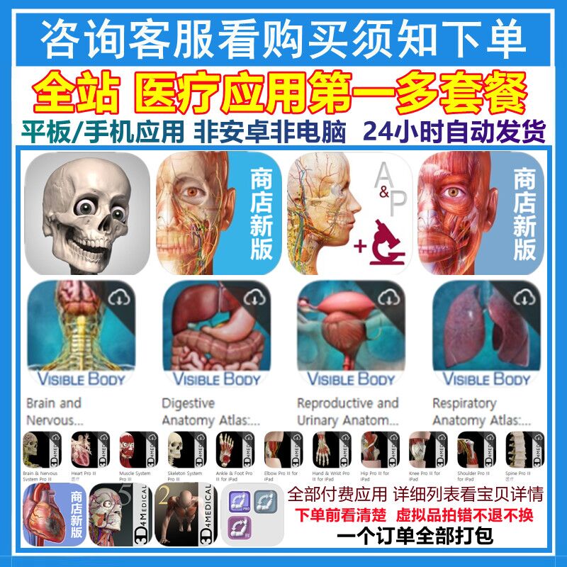 肌肉和运动机能学 Skelly 解剖结构模型 Essential Anatomy 5套装