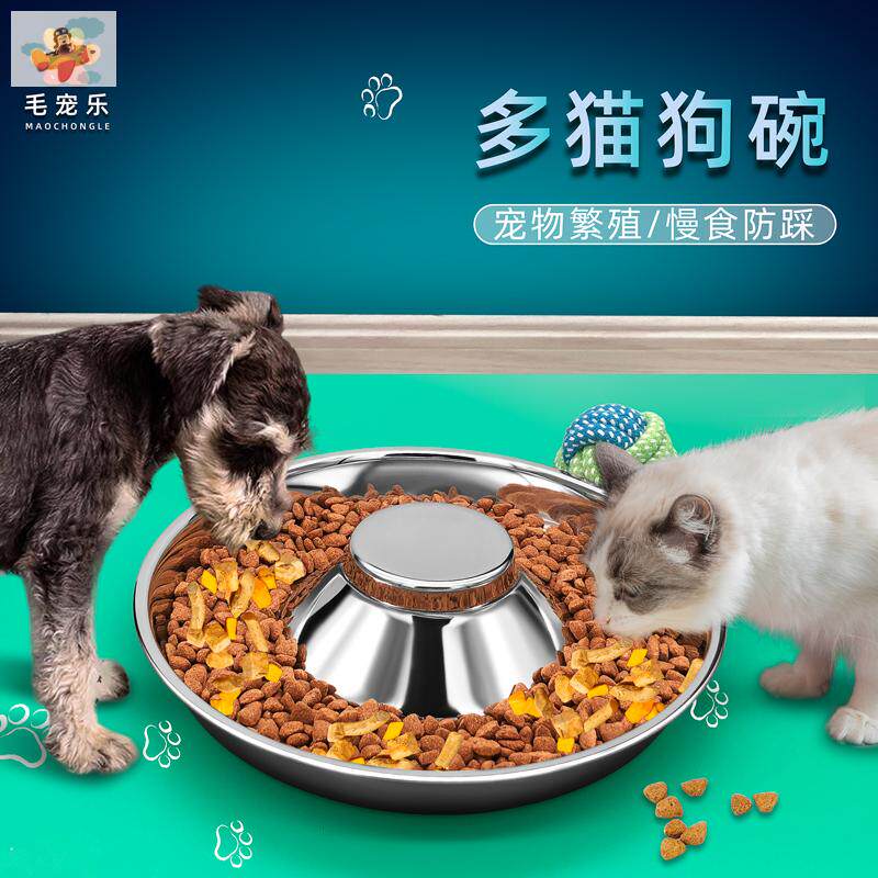 不锈钢猫碗花瓣多猫大号犬狗慢食分食盆幼猫汤盘防打翻宠物碗防踩