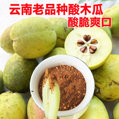 云南特产野生老品种红花新鲜酸木瓜酸脆爽口 可泡酒生吃炖木瓜鸡