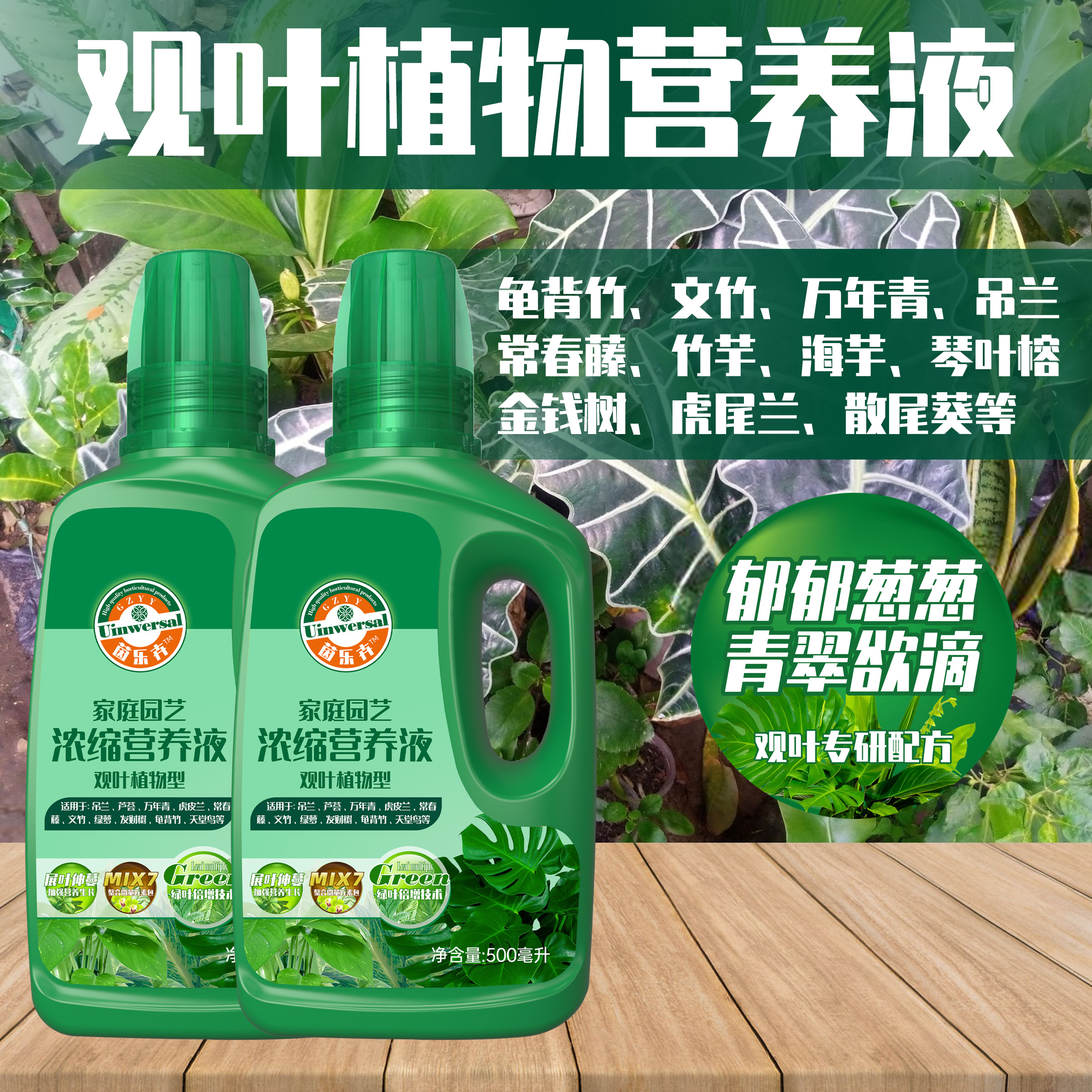 茵乐卉观叶植物绿萝万年青营养液