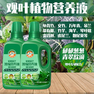 茵乐卉观叶植物绿萝万年青营养液