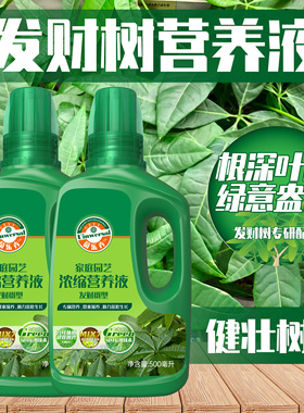 发财树营养液专用肥根深叶茂治壮树势黄掉叶烂根室内盆栽植物花肥