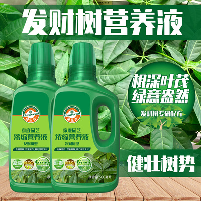 发财树根深叶茂健壮树势营养液