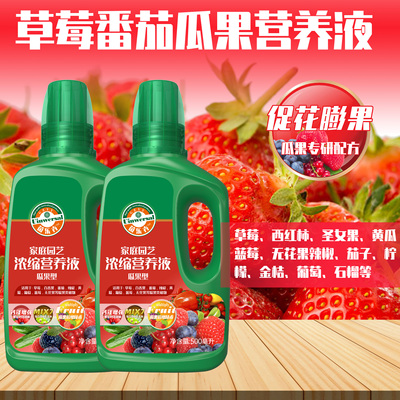 草莓番茄瓜果植物促花膨果营养液
