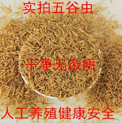 五谷虫鸟食500克可磨粉包邮