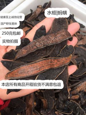 中药材野生清水水蛭干货蚂蟥宽体大水蛭250克包邮纯干干净无杂质