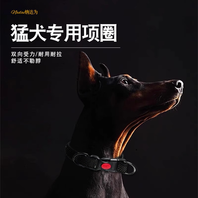 Nadav纳达为猛犬锁扣双D环项圈