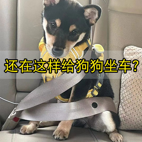 车载宠物汽车安全带Nadav出行