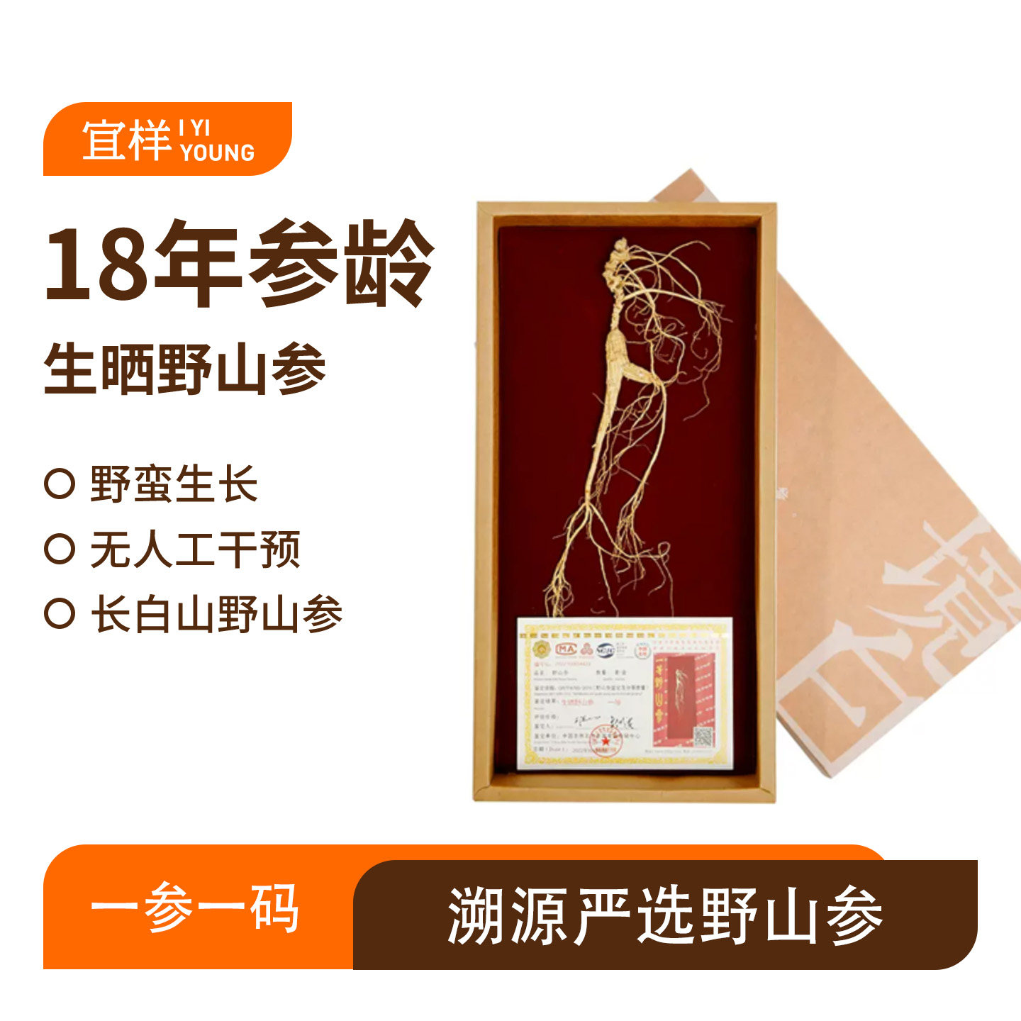 宜样干野山参18年长白山人参生晒
