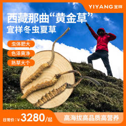 购物金享折上折宜样冬虫夏草西藏那曲冬虫夏草正品虫草干货滋补品