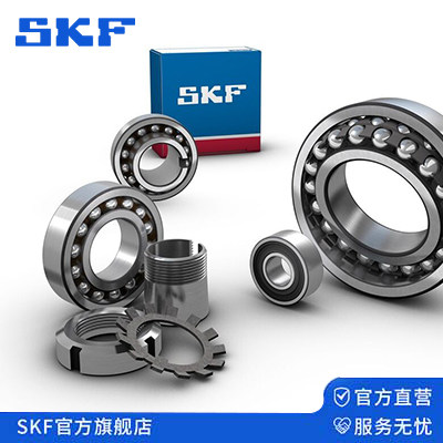 SKF轴承1204进口1205双列1206调心球1207 1208 1209 1210 EKTN9 - 封面