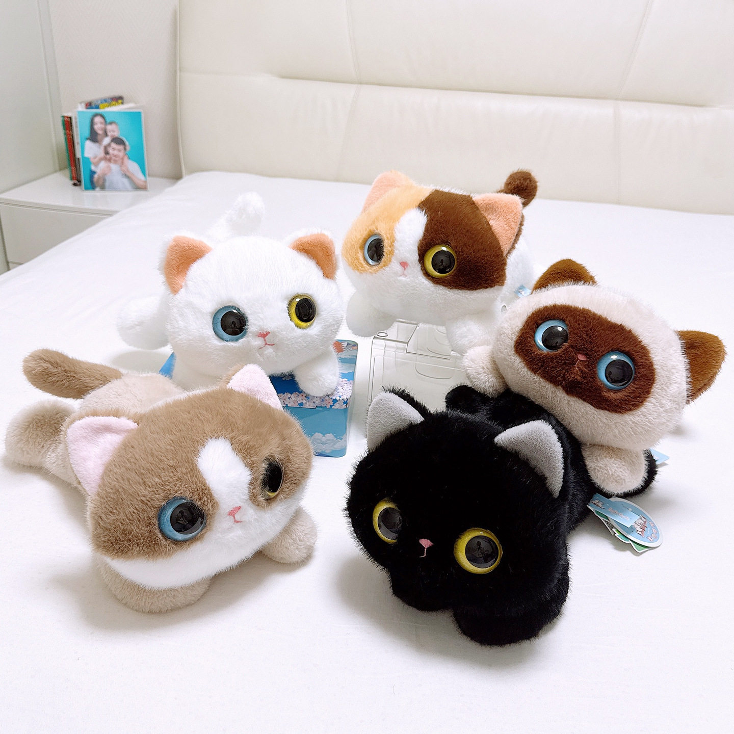 赛特嘟嘟三花猫毛绒抱枕图片