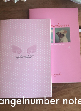 Trust My Vibe韩国代购 天使数字计划本笔记本办公学习横线本记事