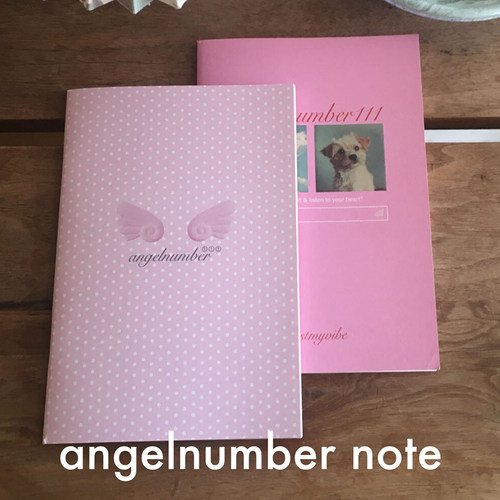 计划本笔记本办公学习横线本