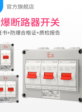 防爆空气开关断路器防爆开关220V/380V工业明装三相防爆空开2P3P