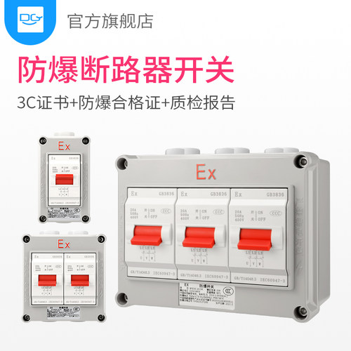 防爆空气开关断路器防爆开关220V/380V工业明装三相防爆空开2P3P