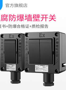 防腐防爆开关220V10A单双控黑色工程塑料一二开工业防爆墙壁开关
