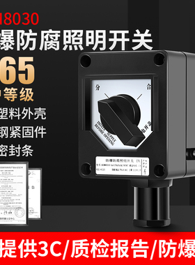 防爆防腐开关BZM8030防爆墙壁照明开关IP65双极控制220V/380V 10A