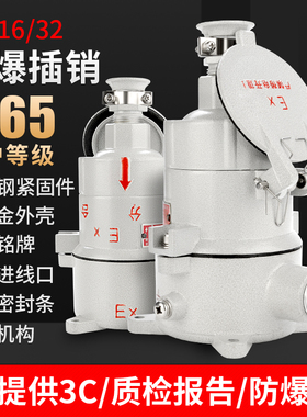 防爆插销AC-16A/32A-220/380V直插斜插隔爆航空插头插座插接装置
