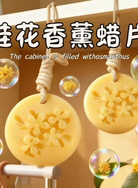 桂花衣柜香薰蜡片室内持久