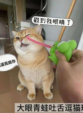 吐舌头青蛙捏捏减压恐龙