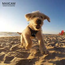 5配件 MAXCAM适用dji大疆OSMO ACTION灵眸运动相机狗狗背带胸带宠物固定带绑带gopro hero10
