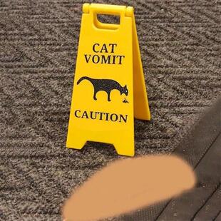跨境新品 cat vomit sign 猫咪呕吐提示牌 狗狗dog vomit标志牌