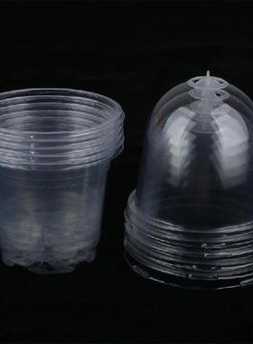 5Pcs Plant Nursery Pot Transparent Plastic PET Seed Stater