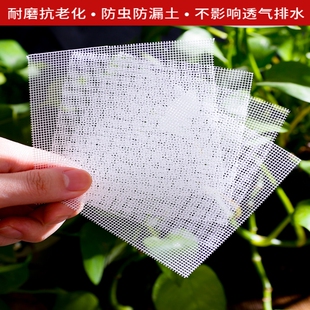 花盆垫片网垫底纱网防虫防泥土流失透气沥水垫底网多肉盆栽网纱垫