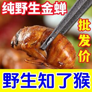 2026油炸大金蝉特产知了猴野生爬叉猴新鲜猴子爬蚱猴多口味现货