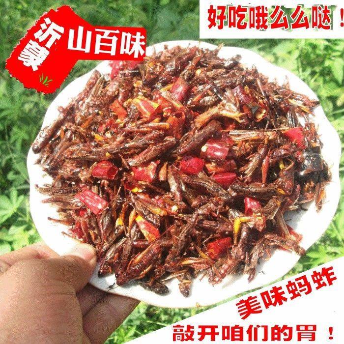 现货油炸蚂蚱即食零食去翅膀蝗虫麻辣椒盐小吃昆虫美食蚂蚱新鲜