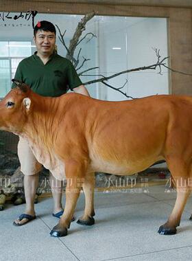 仿真牛雕塑水牛玻璃钢农耕动物大摆件牧童骑黄牛模型户外园林景观