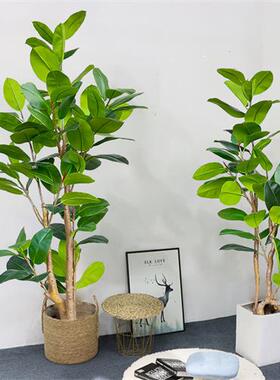 仿真橡皮榕室内客厅落地盆栽服装店橱窗绿色假植物琴叶榕仿真橡树
