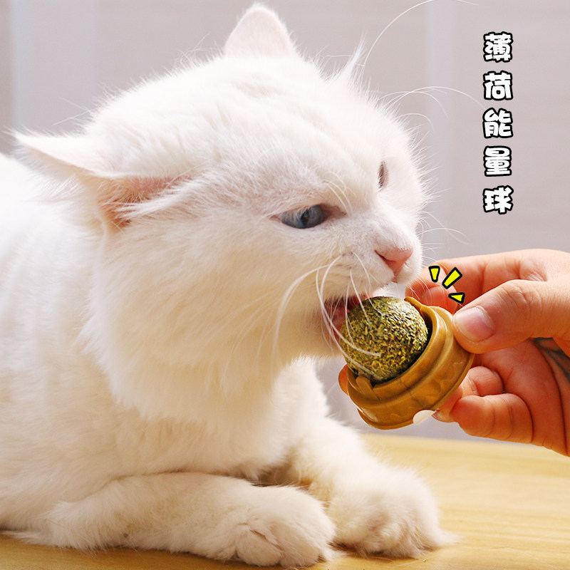 可以舔的猫薄荷猫咪磨牙棒木天蓼猫糖逗猫玩具猫咪用品猫咪零食