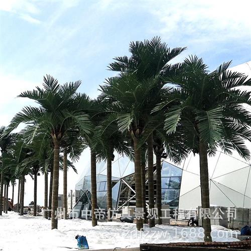 仿真玻璃钢椰子树大型景观绿化人造大王椰仿生加纳利海枣树棕榈科