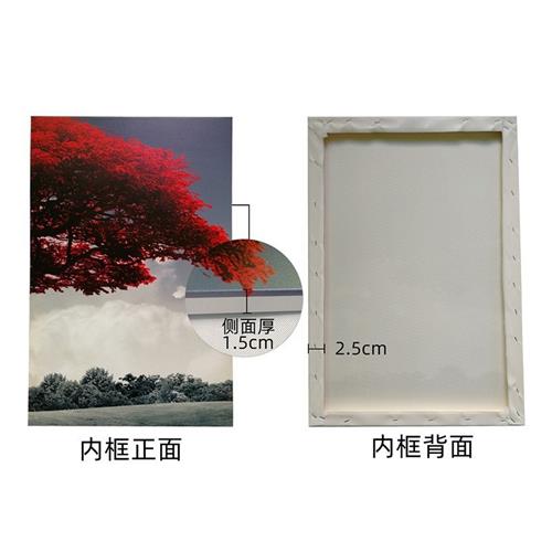 Y代发厂家直供自定义装饰画芯高清喷绘帆布卧室挂画装饰画无框画图片