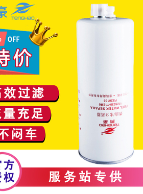 FS20133柴油滤芯FS20134配东风天龙天锦1125030-T12MO油水分离器