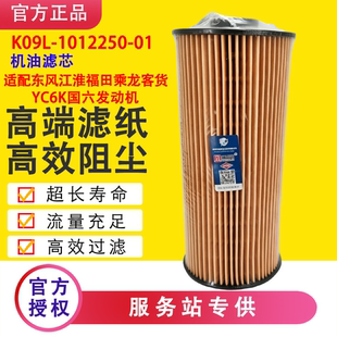 K09L 01配YC6K玉柴国六发动机东风江淮福田乘龙机油滤芯 1012250