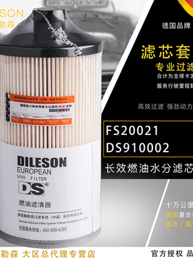 FS20019柴油滤芯WG9925550105适配徐工135D150D215EFS20020/20021