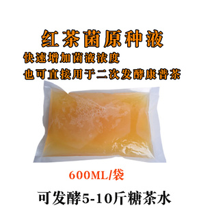 紅茶菌原種液增加濃度活性更強加速發酵可直接用于康普茶二發